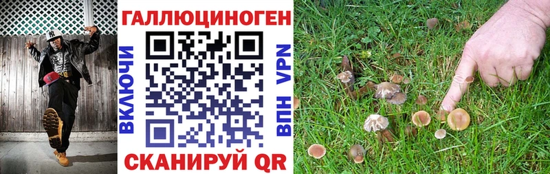 цена наркотик  Вихоревка  Галлюциногенные грибы мицелий 